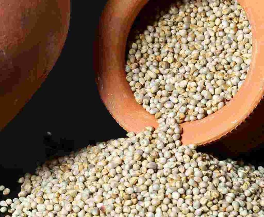 Boost Immunity with These Seasonal Superfoods