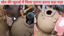 धान की रोपाई कर रहे किसान को धंसा मिला सालों पुराना बड़ा सा घड़ा, खोदकर निकाला बाहर, अंदर देखा तो रखी थी ऐसी चीज, फटी रह गई आंखें, Video Viral