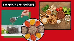 सेहत के लिए अमृत हैं चिया सीड्स, डायटीशियन ने बताया इन 4 फूड्स के साथ बिल्कुल नहीं खाएं, फायदे की जगह सेहत को होगा नुकसान