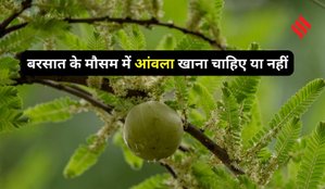 Can Eat Amla in Monsoon