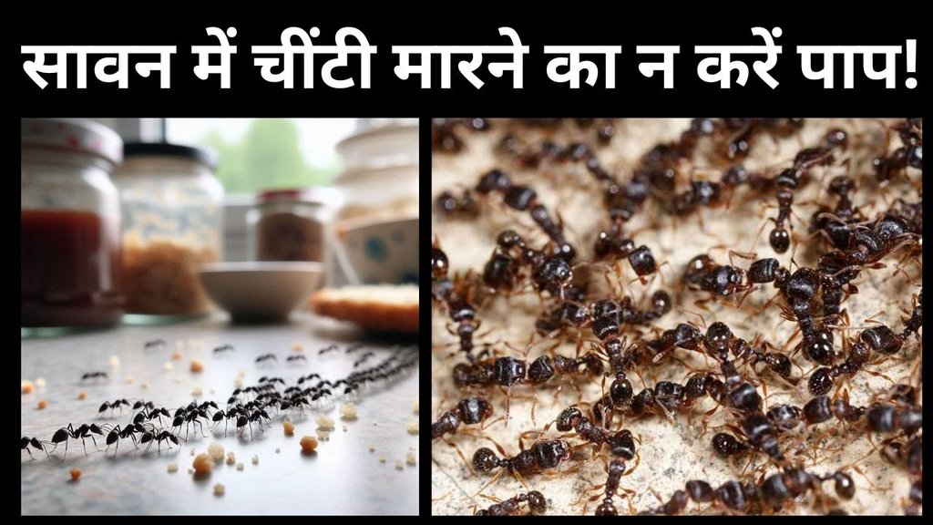 how to get rid of ants | Sawan me bina mare chiti ko kaise bhagaye | Lal chiti ko kaise bhagaye