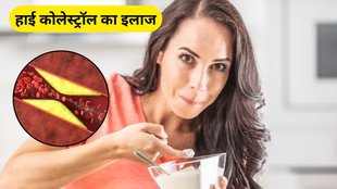 Cholesterol Patient Can Eat Curd, Is curd good for your cholesterol, Can a cholesterol patient eat yogurt, Is Lassi good for high cholesterol