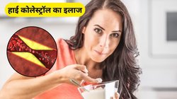 नसों में जमा कोलेस्ट्रॉल निचोड़ देगी दही, एक्सपर्ट से जानिए कैसे करें इस्तेमाल