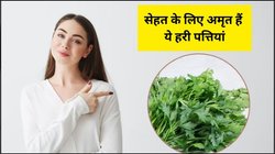 धनिया से सिर्फ 2-4 नहीं कई बीमारियों का होता है इलाज, लिवर और किडनी की भी होती है सफाई, एक्सपर्ट से जानिए कैसे करें इस्तेमाल