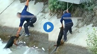 Viral Video| Trending Video| Emotional Video