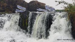 वॉटरफॉल के पास सेल्फी लेते वक्त फिसला महिला का पैर, डूबने से बचाने के लिए पति और 2 बच्चों ने भी लगा दी छलांग और फिर…, हैरान कर रही घटना