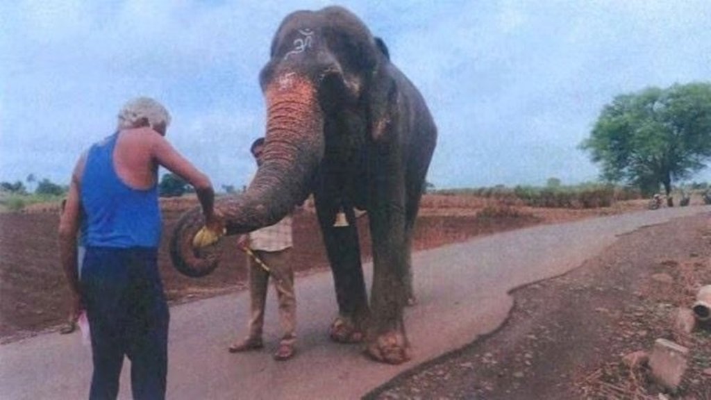 Anant Ambani, Vantara Initiative, Elephant Welfare India