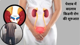 symptoms of kidney failure in adults,subtle signs of kidney damage,signs of kidney issues,red flags of kidney problems,kidney health symptoms