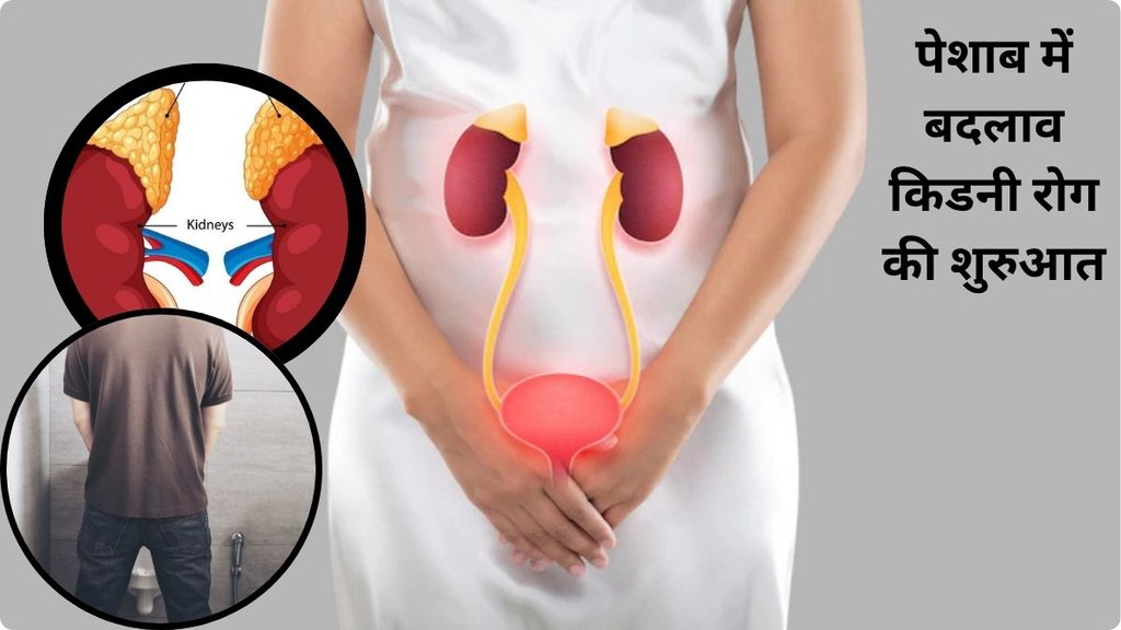 symptoms of kidney failure in adults,subtle signs of kidney damage,signs of kidney issues,red flags of kidney problems,kidney health symptoms