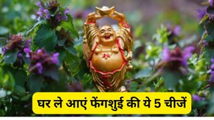 Feng Shui items for wealth, Feng Shui for positive energy at home, Feng Shui tips for prosperity, Feng Shui things to keep in house, Feng Shui remedies for money, Feng Shui objects for happiness, Best Feng Shui items for home, Feng Shui for attracting wealth and positivity, Feng Shui home decor for luck, How to attract money using Feng Shui, feng shui, feng shui tips