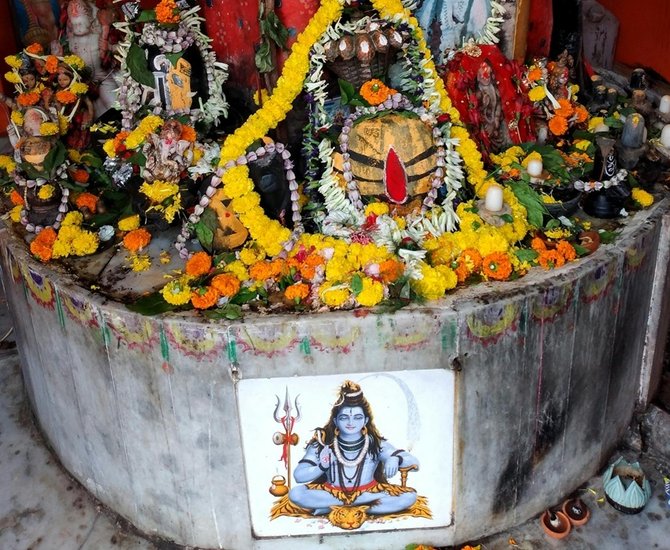 Floral Offerings That Attract Lord Shiva Grace in Sawan 2025