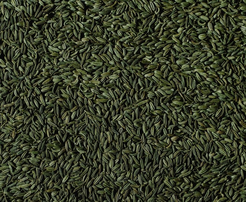 From Digestion to Detox The Power of Methi Fennel Water