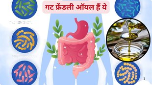 Gut health, cooking oils, extra virgin olive oil, avocado oil, flaxseed oil, ghee, indianexpress.com, indianexpress,gut friendly oils,olive oil,