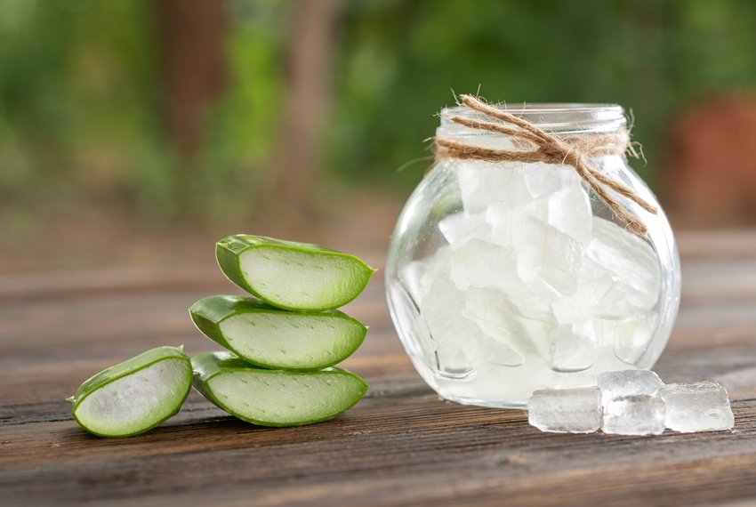 Aloe Vera on product display wood counter background. aloe vera