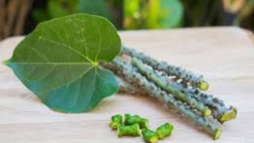 giloy ka kadha, giloy ka kadha kaise banaen , how to make giloy ka kadha