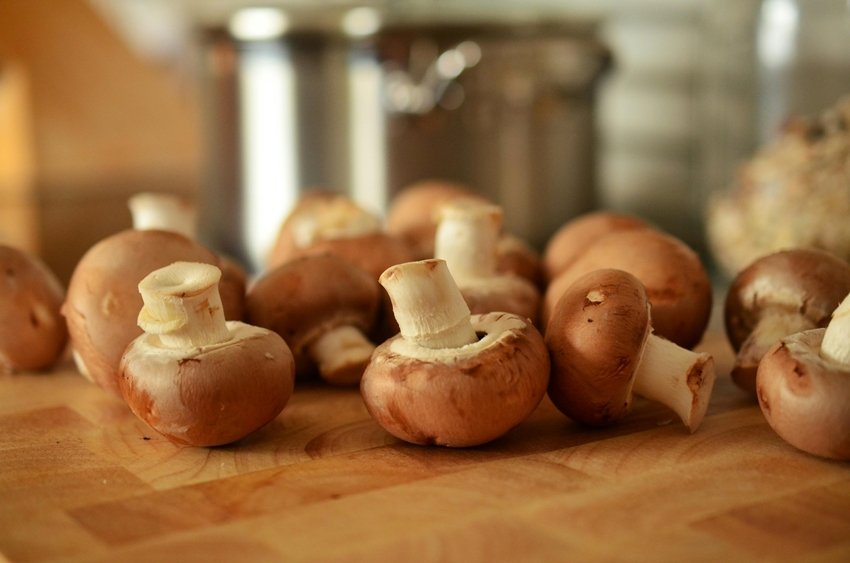 Grow Mushrooms the Easy Way