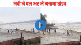 Viral Video. trending Video, Shocking Video