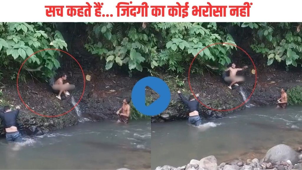 Viral Video| Trending Video| Shocking Video