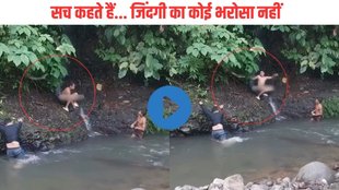 Viral Video| Trending Video| Shocking Video