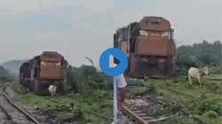 रेलवे ट्रैक पर आ गई गाय, देखते ही लोको पायलट ने धीमी की ट्रेन की रफ्तार और फिर जो हुआ…, Viral Video देख यूजर्स बोले – दुनिया में आज भी इंसानियत है जिंदा