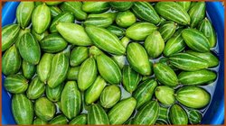How To Grow Parwal: घर की छत पर ऐसे लगाएं परवल, यहां जानें उगाने का एकदम आसान तरीका