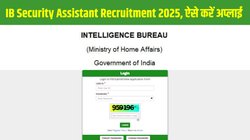 IB Security Assistant Recruitment 2025: आईबी सुरक्षा सहायक भर्ती 2025 के लिए mha.gov.in और ncs.gov.in पर आवेदन शुरू, Direct Link से करें इस सरकारी नौकरी के लिए अप्लाई