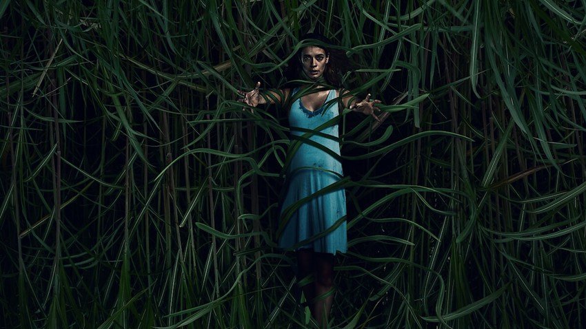 In the Tall Grass