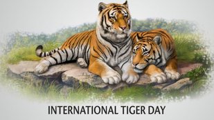 International Tiger Day| International Tiger Day 2025 | bagh divas ke interesting facts