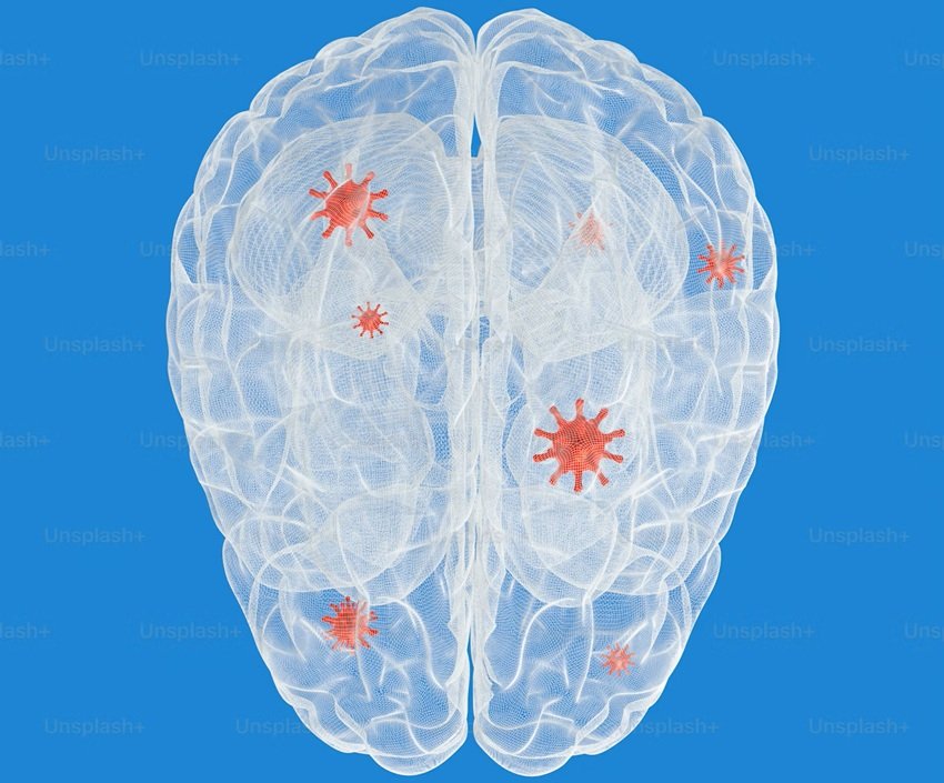 Is cabbage dangerous for the brain
