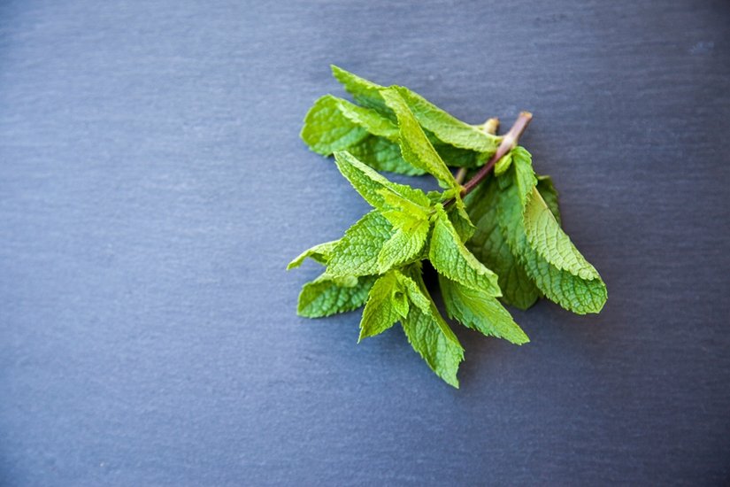 Keep Your Kidneys Healthy with These 7 Everyday Ingredients