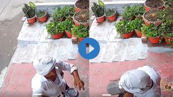 लखनऊ : दूध में थूकते हुए पकड़ा गया दूधवाला, कैमरे में कैद हुई पप्पू के नाम से दूध बेच रहे शरीफ की शर्मनाक हरकत