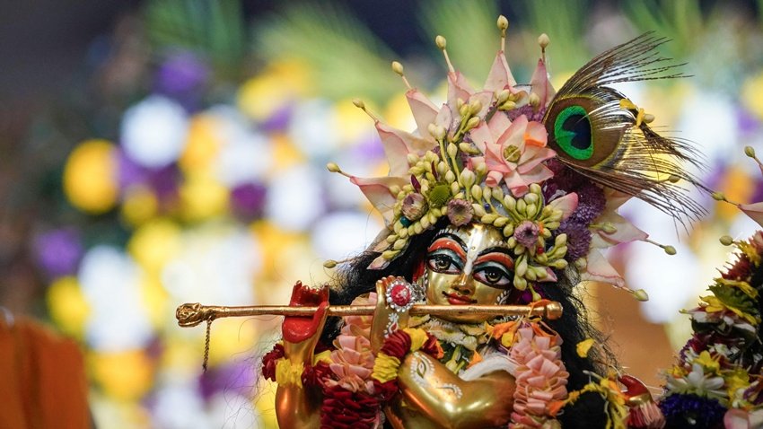 Laddu Gopal idol travel rules