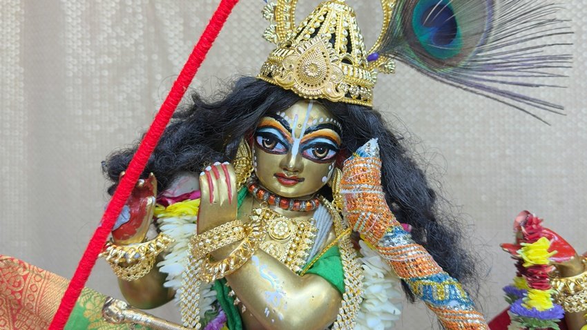 Rules for carrying Laddu Gopal