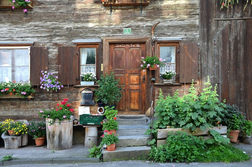 Main Door Vastu 10 Inauspicious Flowers You Must Avoid