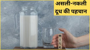 Milk Purity Test at Home, How to check purity of milk, How to check purity of milk at home