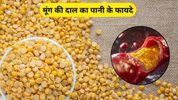 फैटी लिवर के लिए वरदान है इस दाल का पानी, सेहत को भी मिलेंगे कमाल के फायदे, नसों में जमा कोलेस्ट्रॉल भी निकल जाएगा बाहर
