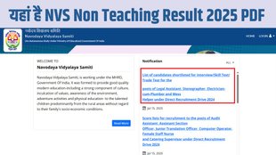 NVS Non Teaching Result 2025, NVS Result 2025, Navodaya Vidyalaya Samiti, NVS Result, nvs non teaching result 2025 pdf download, navodaya.gov.in