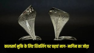 Silver Nag Nagin on Shivling in Sawan Month 2025