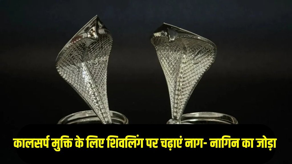 Silver Nag Nagin on Shivling in Sawan Month 2025