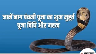 Nag Panchami 2025 Puja Vidhi, Nag Panchami 2025