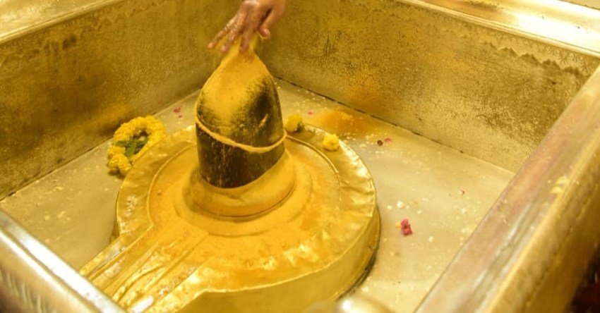 Shivling Abhishek items for Nag Panchami