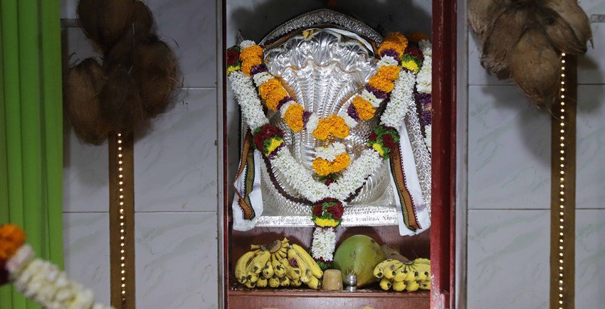 Nag Panchami puja items