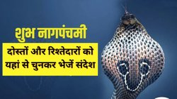 Nag Panchami Wishes, Images: नाग पंचमी पर आज दोस्तों और भगवान शिव के भक्तों को संदेश भेजकर दें शुभकामनाएं