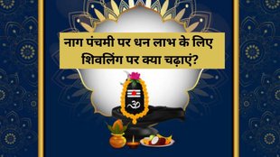 Nag Panchami 2025, Nag Panchami 2025 Date, Nag Panchami 2025 Tithi, Nag Panchami 2025 Shivling offerings, Things to offer on Shivling on Nag Panchami, What to offer to Lord Shiva on Nag Panchami, Nag Panchami Shiv Puja items list, Shivling Abhishek items for Nag Panchami, Things to offer on Shivling on Nag Panchami