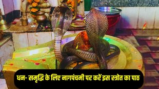 Nag Panchami 2025, Nag Panchami Remedies, Nag Panchami ke upay, nag panchami 2025 date
