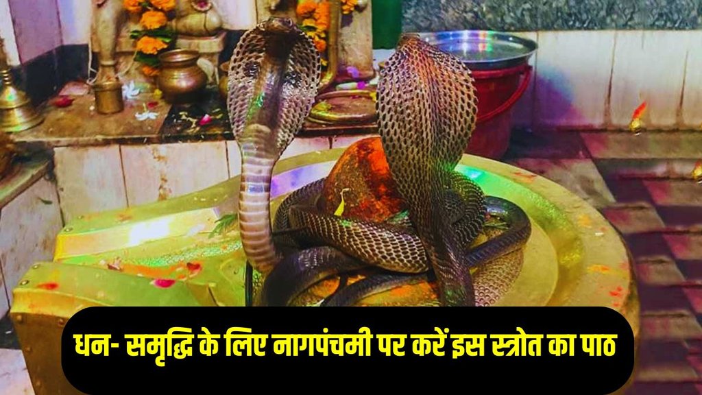 Nag Panchami 2025, Nag Panchami Remedies, Nag Panchami ke upay, nag panchami 2025 date