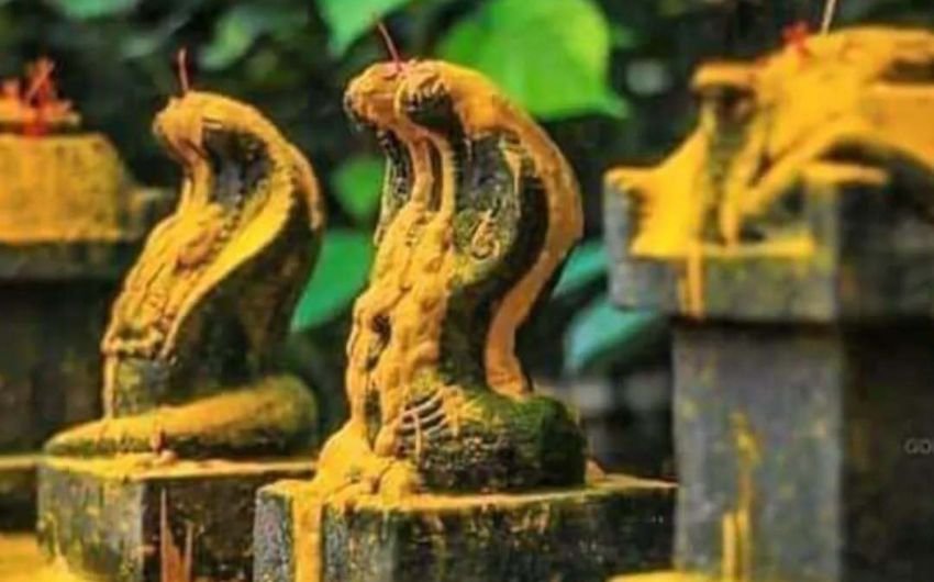 Hindu snake god temple