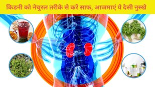 Naturally Detox Your Kidneys 7 Superfoods You Should Include in Your Diet