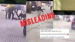 Fact Check: थाईलैंड में कुत्ते के हमले का वीडियो भारत का बताकर भ्रामक दावे के साथ वायरल