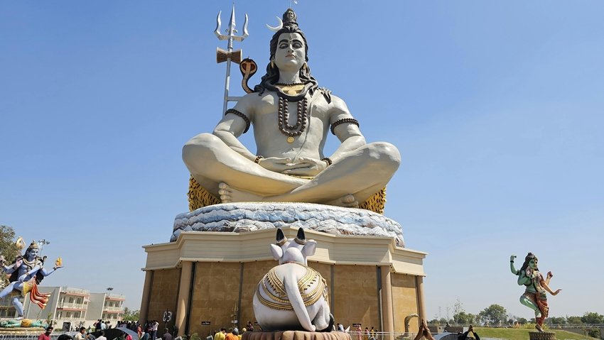 Offer These 7 Flowers to Lord Shiva in Sawan for His Divine Blessings